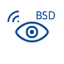 Blind spot detection icon