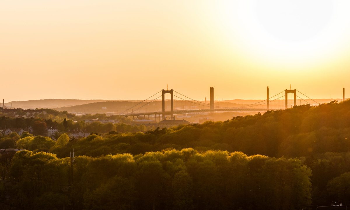 Bridge and trees