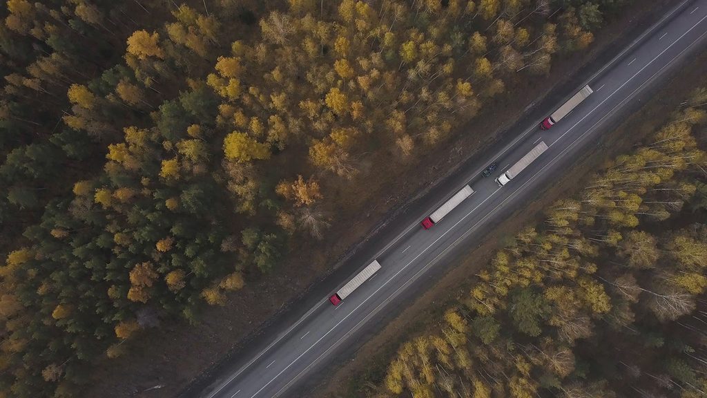 fleet-driving-through-forrest-smaller